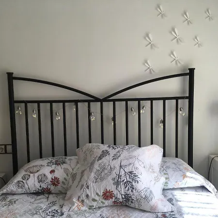 Tu En Appartement Ribes De Freser